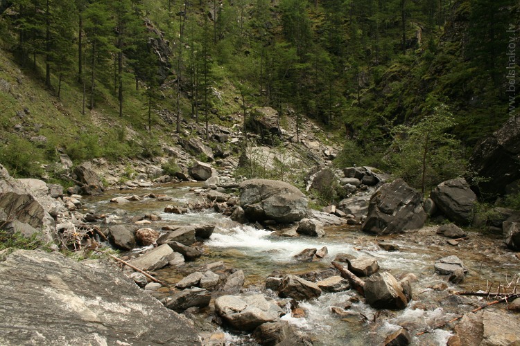Река Кынгарга